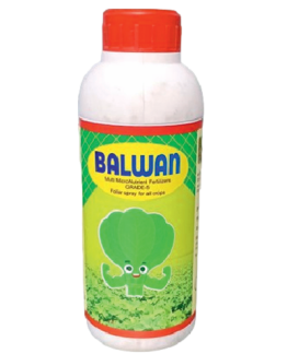 Balwan