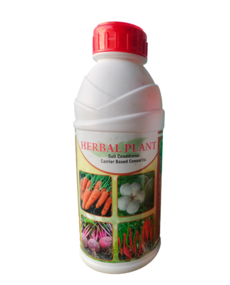 Herbal Plant