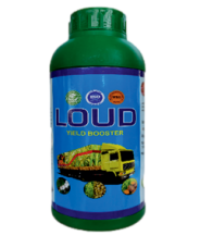 Loud