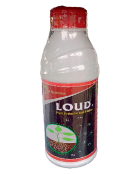 Loud
