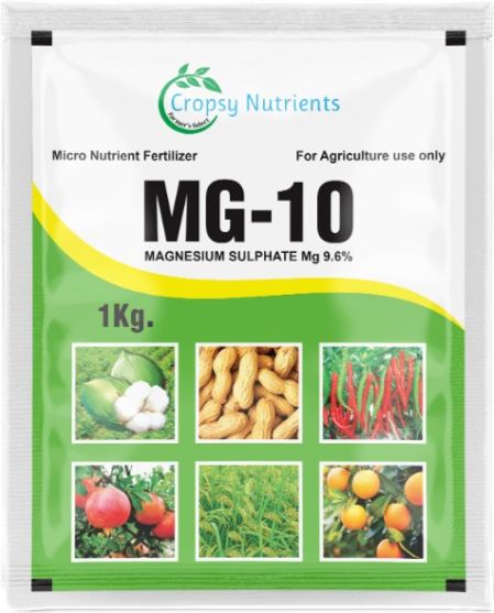 Mg-10