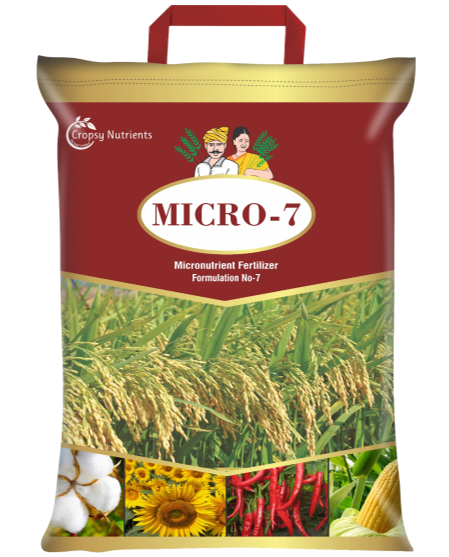 Product 6