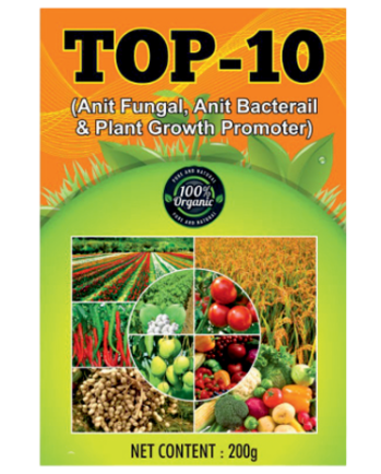 Top-10